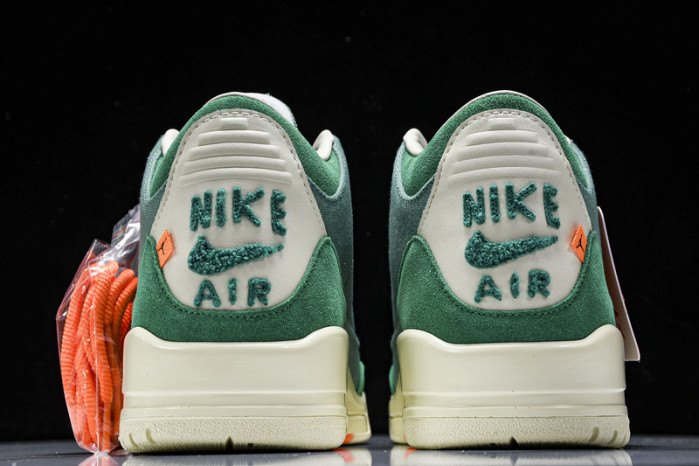 nina Ch*el abney x air jordan 3 fz7974-300
