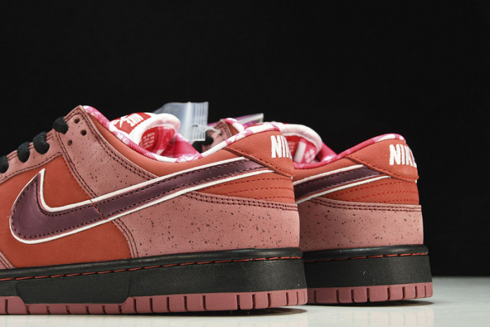 nike sb dunk low concepts red lobster 313170-661